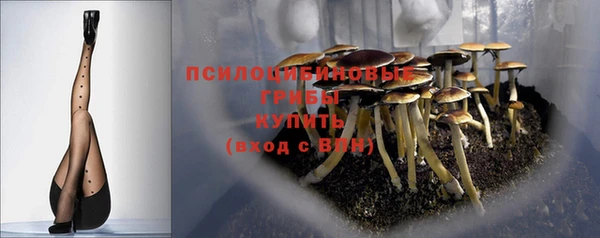 таблы Вяземский
