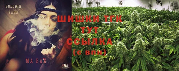 spice Вязьма