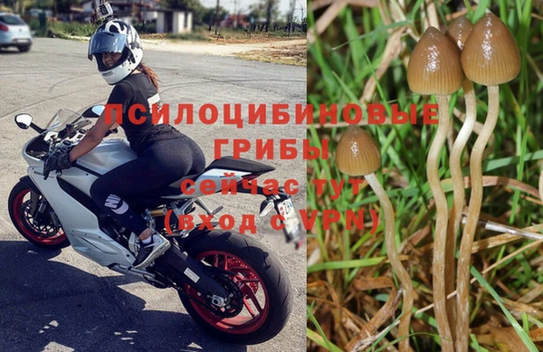 a pvp Володарск