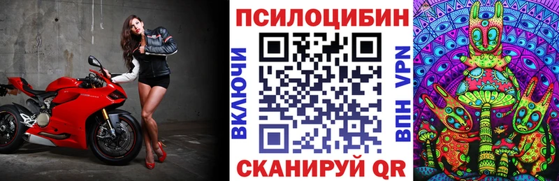 Галлюциногенные грибы GOLDEN TEACHER  Купить  Советский 